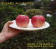 200 Count 6' Small Compostable Dessert Plates, Heavy-duty Unbleached Biodegradable Bagasse and Bamboo fiber Paper Plates …